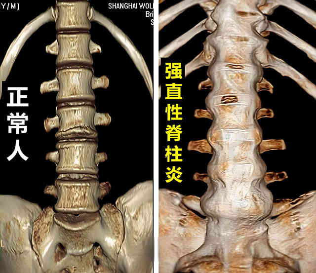微信图片_20241217203555_03_01 微信图片_20241217203555_03_01